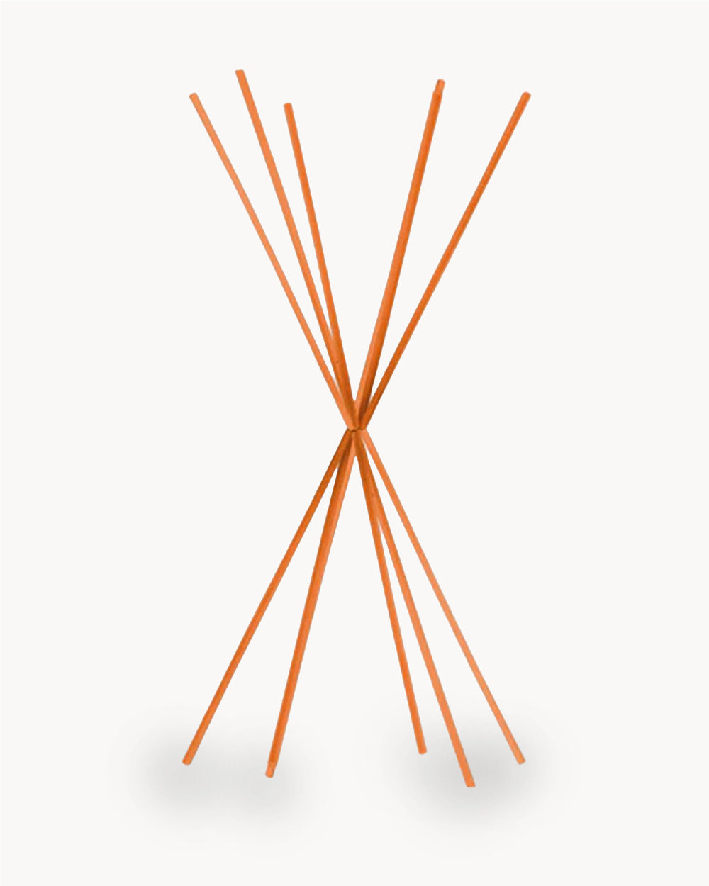 Stick Profumatore Arancioni